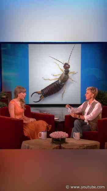 Taylor Swift Talks About Her New Fear