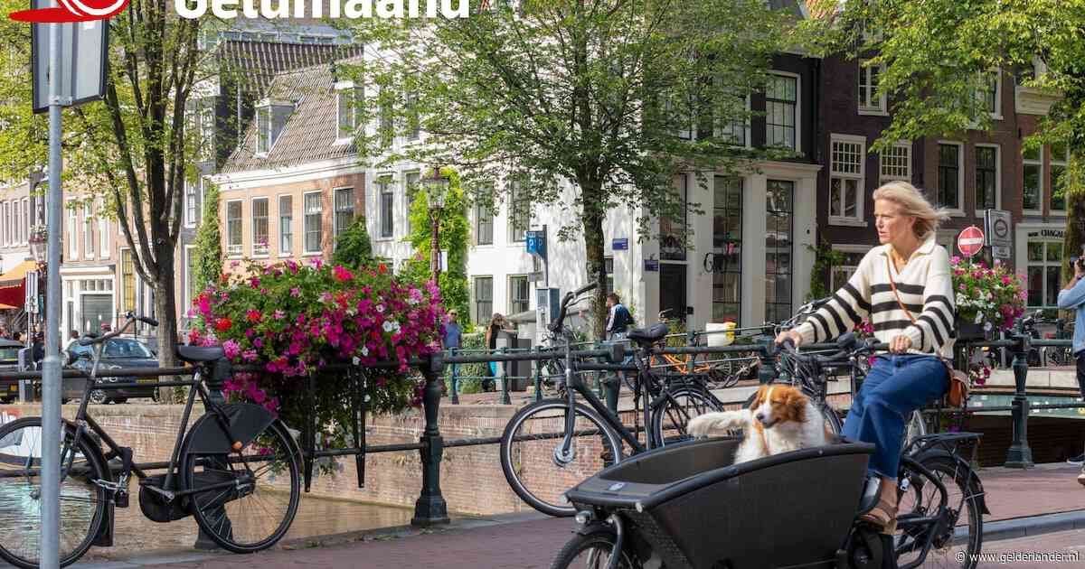 Marthe (46) raakt sleutel én bakfiets van 2500 euro kwijt: ‘Waarom luisterde ik naar hem?’