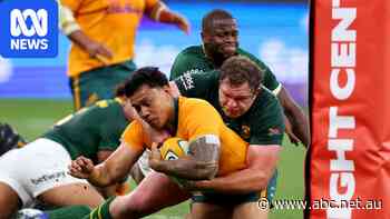 Live: Red-hot Wallabies surging towards stunning victory over Springboks