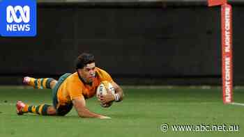 Live: Wallabies down to 13 players in nail-biting finale against Springboks