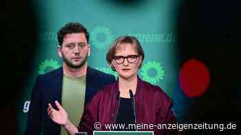 Banaszak und Brantner kandidieren wieder für Grünen-Spitze