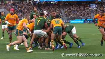 Wallabies stun Springboks in wild Test