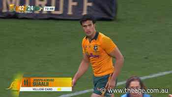 Ref cards Suaalii after South Africa try denied