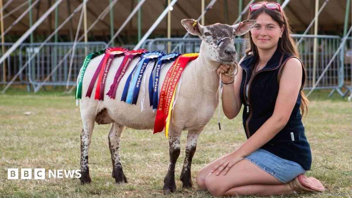 Teen with own flock of sheep wins farming award
