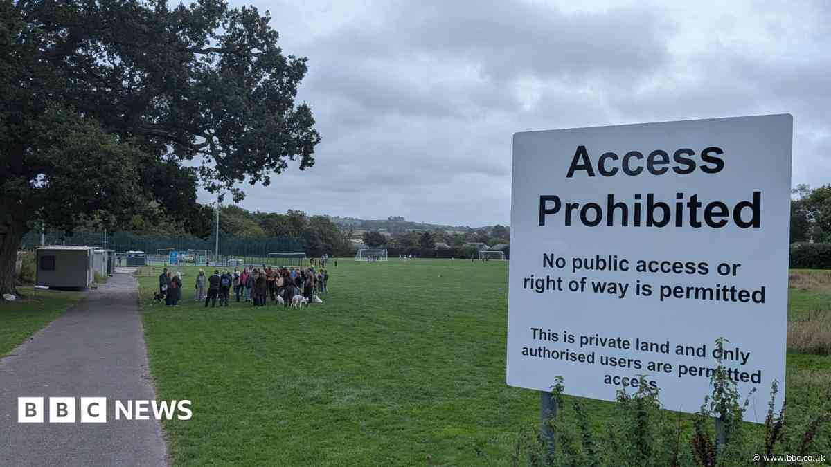 Campaigners fear loss of 'public' playing fields