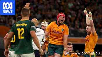 Wallabies reduced to 11 men in chaotic upset win over world champ Boks