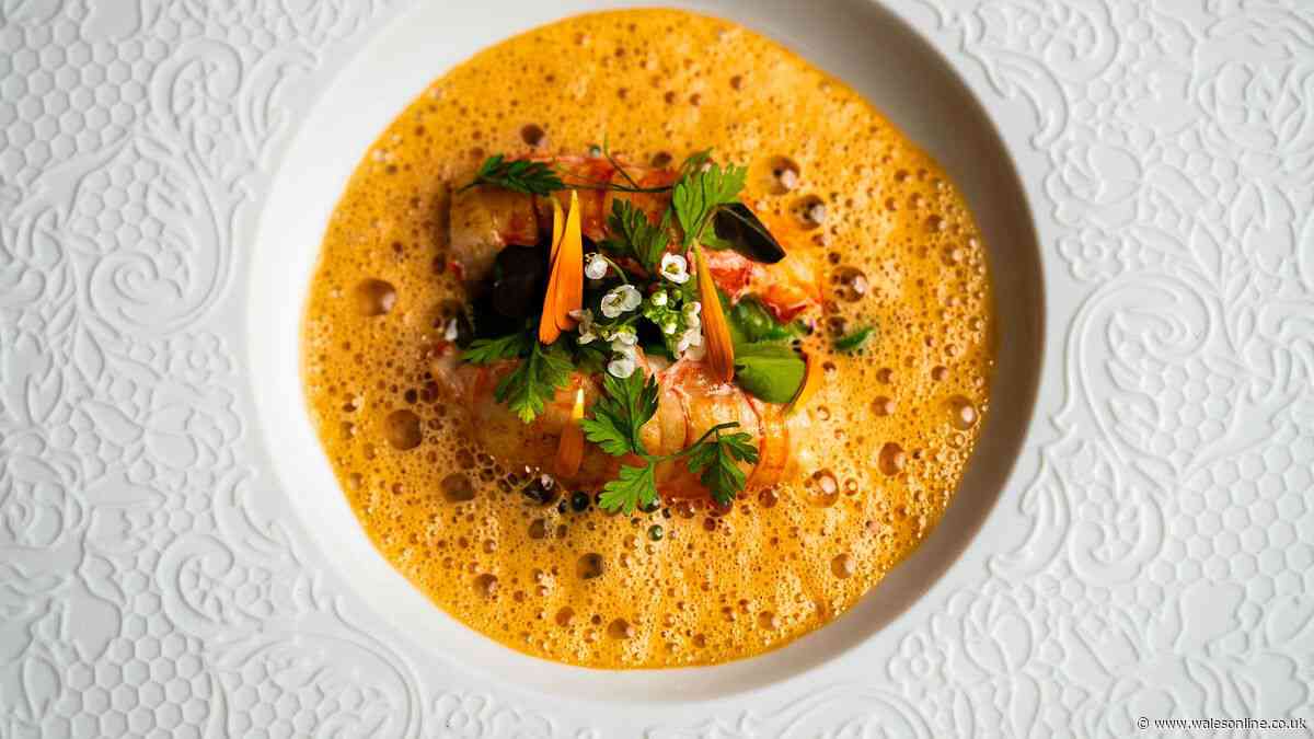 I ate at a tiny Cardiff restaurant Michelin recommends, and it's offering cheaper food right now