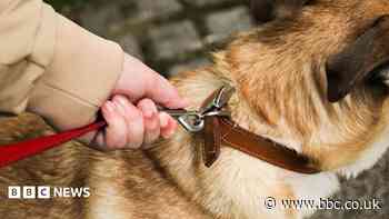 New restrictions on walking dogs off leads