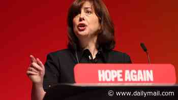 'We're not bringing back stupid' insists Lucy Powell as she defends Labour's education reforms - and dubs her Whitehall team the 'Department for Hope'