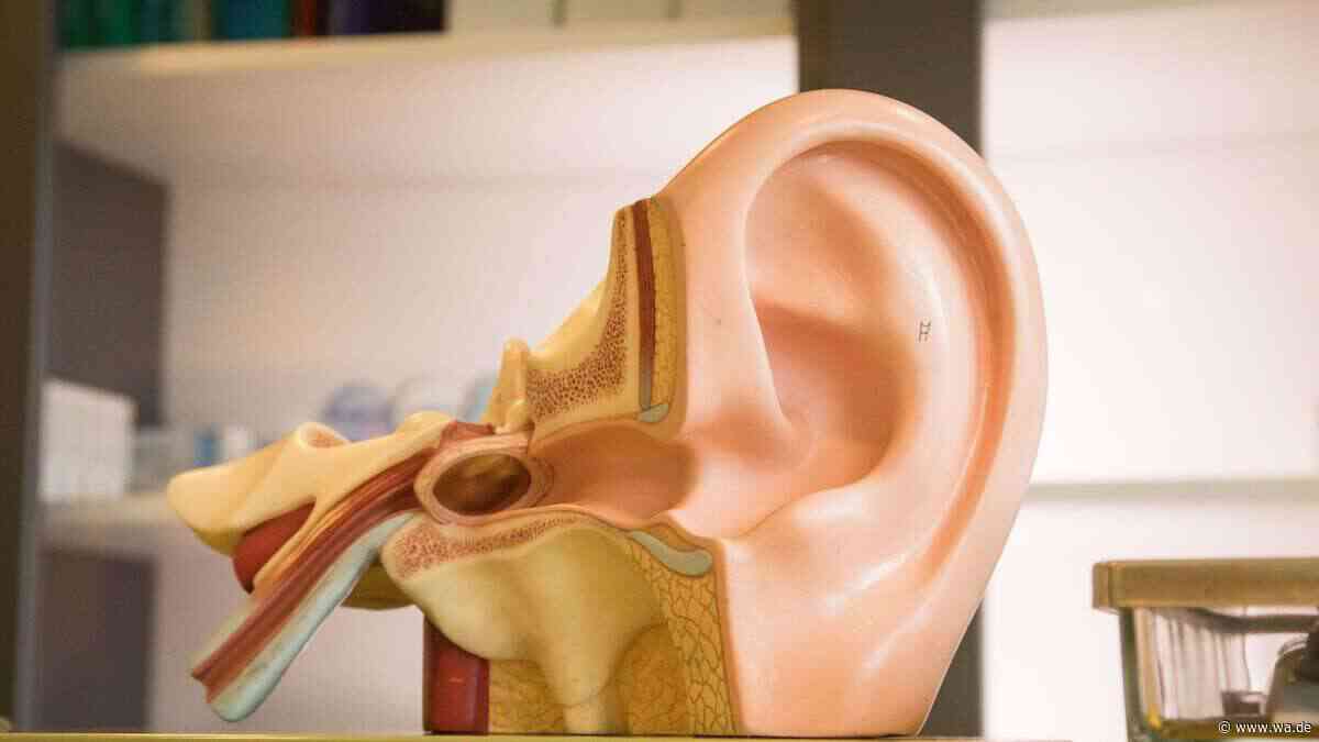 Schwerhörigkeit und Demenz: Warum gutes Hören für das Gehirn so wichtig ist