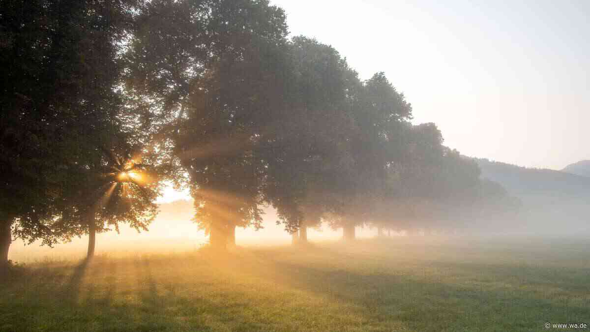 Wie lange hält der Spätsommer in NRW? Meteorologen geben erste Einschätzung