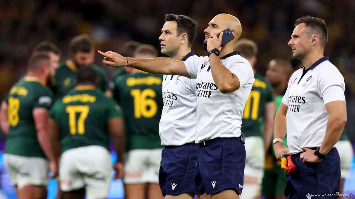 Rassie Erasmus makes ref claim after on-field issues in blunt Springboks verdict