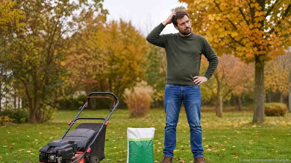 Die Pflege im Herbst entscheidet über Ihren Frühjahrsrasen