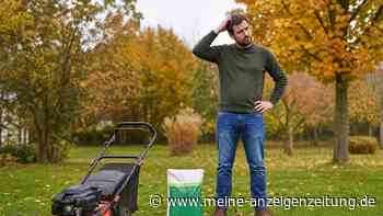 Die Pflege im Herbst entscheidet über Ihren Frühjahrsrasen