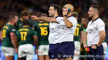 Rassie Erasmus makes ref claim after on-field issues in blunt Springboks verdict