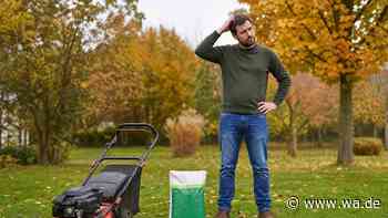 Die Pflege im Herbst entscheidet über Ihren Frühjahrsrasen