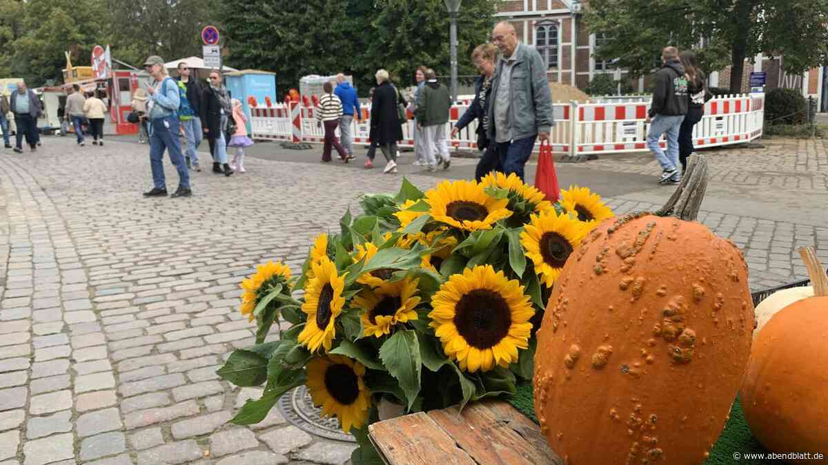 Bergedorfs offener Sonntag lockt Zehntausende – trotz vieler Baustellen