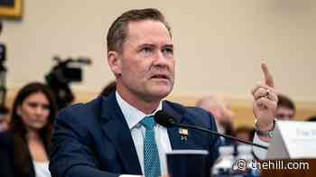 Waltz says Iranians asked for 'everything up front' before Trump rejected ceasefire