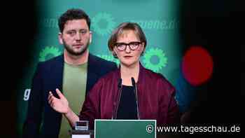 Banaszak und Brantner treten wieder für Vorsitz von Bündnis 90/Die Grünen an