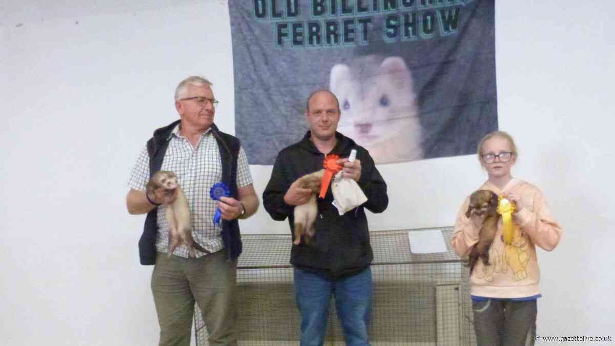 Meet the couple behind the Old Billingham Ferret Show, with big plans for the future
