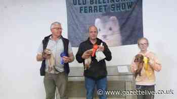 Meet the couple behind the Old Billingham Ferret Show, with big plans for the future