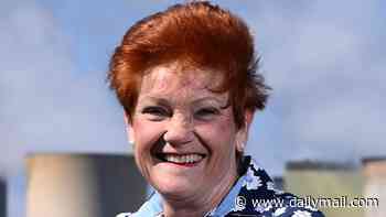 Bombshell Newspoll data shows One Nation charging ahead of Labor in Queensland and going strong in NSW