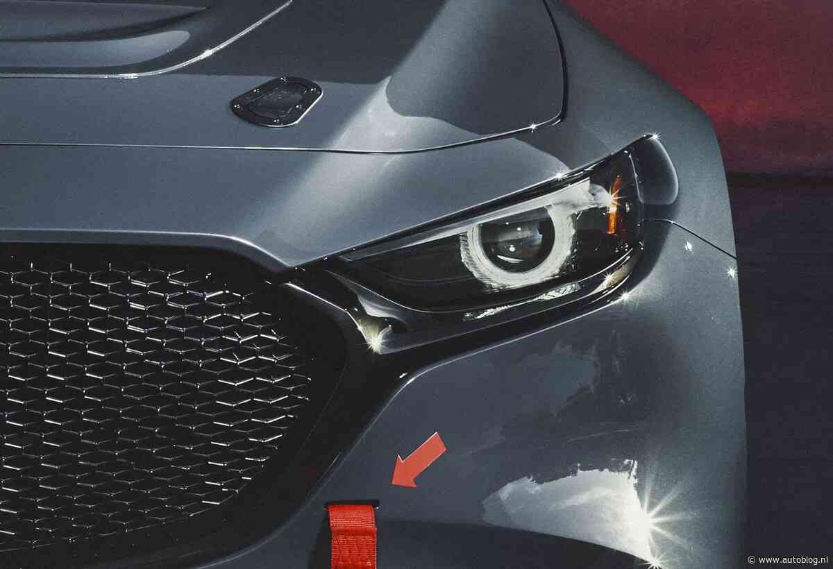 Nee maar! Keert een verrassend leuke hot hatch terug met 300 pk?