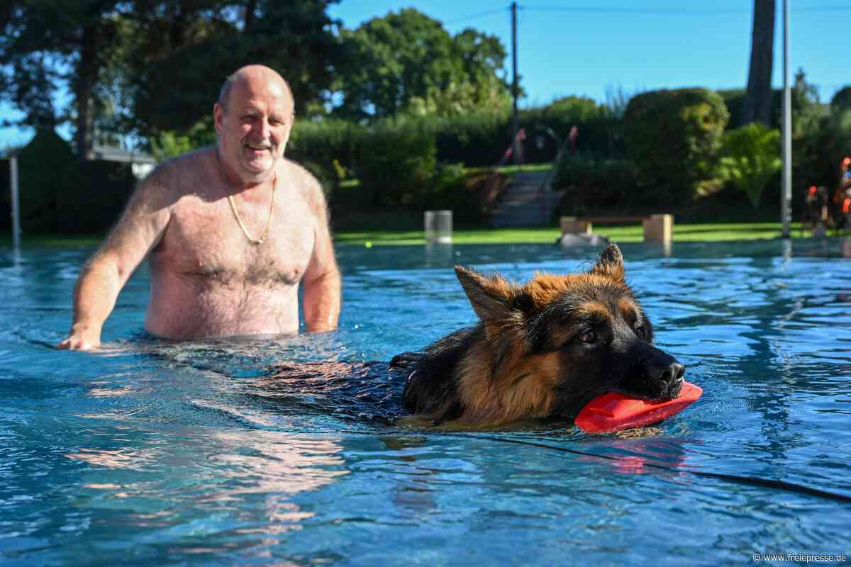 Hunde-Badetag lockt Gäste weit über Limbach-Oberfrohna hinaus ins Freibad