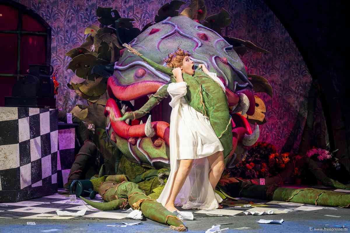 Mord im Motown-Takt: „Der kleine Horrorladen“ feiert Premiere in Annaberg