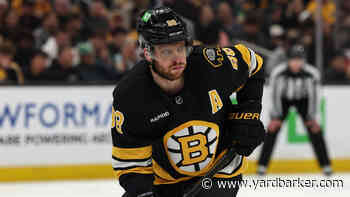 Bruins Name David Pastrnak Captain