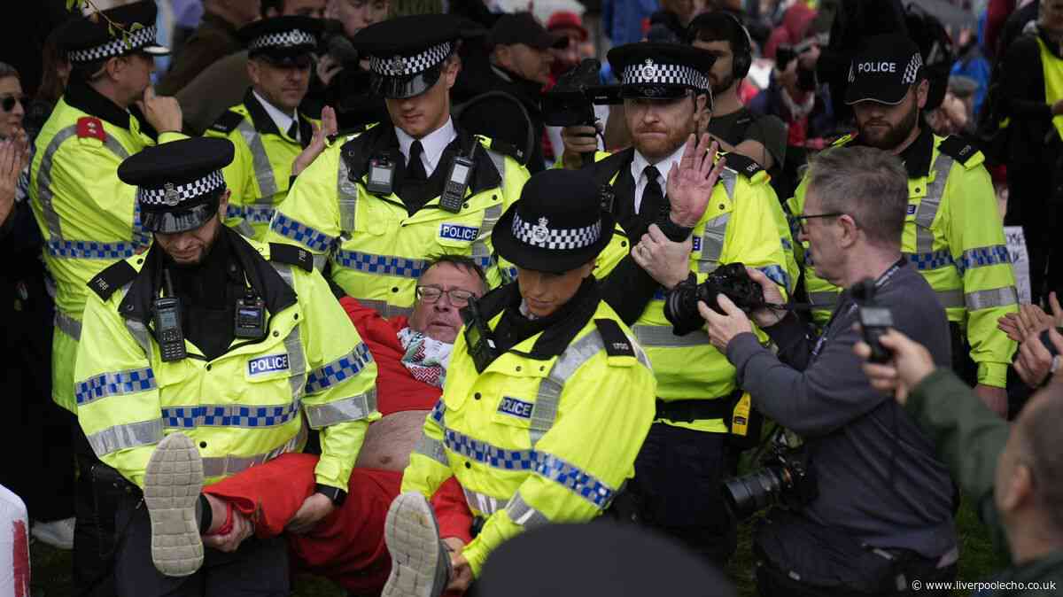 People cheer as they are arrested outside Labour Party conference in Liverpool