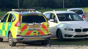 Serious injury halts Welsh rugby match as paramedic rushes to help in heroic act