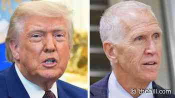 Tillis says Trump endorsing Paxton over Cornyn was 'colossal mistake'