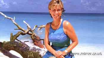 Police urged by top KC and witness to fully reopen Jill Dando murder probe after CCTV update