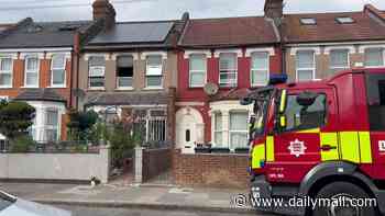 Man in his 80s dies after house fire in north London - as police probe cause of blaze that destroyed first floor