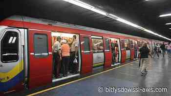 Metro de Caracas rechazó agresión de una trabajadora que impedía ingreso de usuaria con su mascota