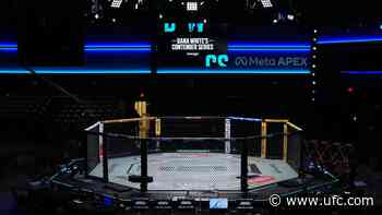 Week 8 Preview | Dana White’s Contender Series, Season 10