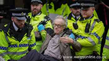 Palestine Action protesters cheer as they are arrested outside Labour party conference