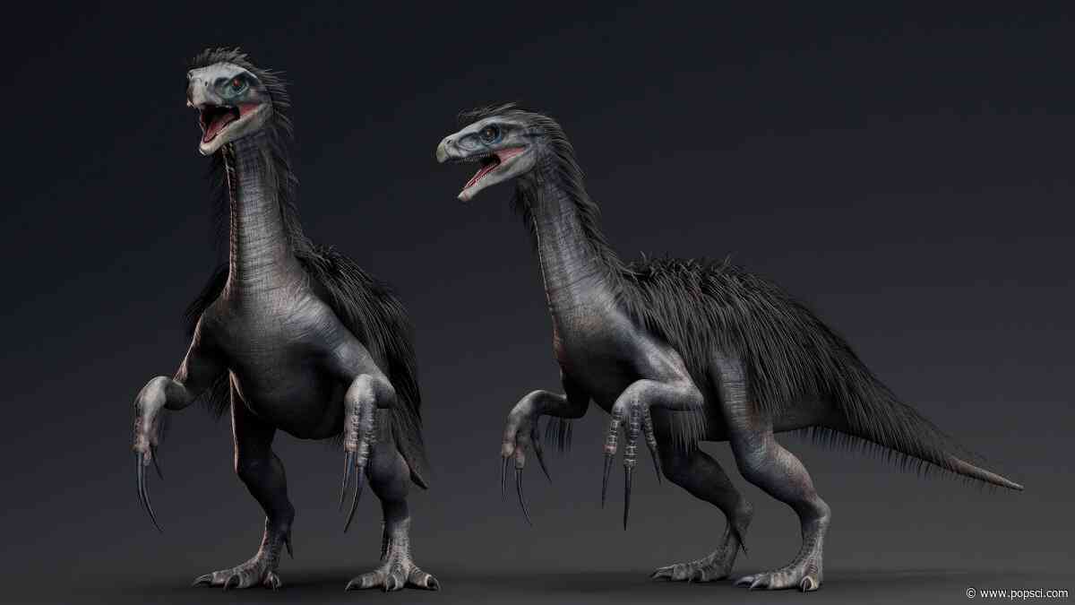 Giant, feathered dinosaur with massive claws and tons of teeth found in China
