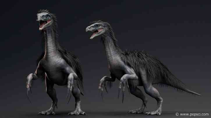 Giant, feathered dinosaur with massive claws and tons of teeth found in China