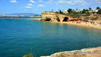 British man, 58, dies after being pulled from sea near holiday resort in Portugal