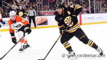 Boston Bruins Name David Pastrnak Captain
