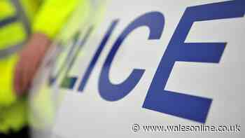 Images show injuries suffered by man hurt in dog attack