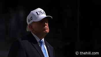Trump calls arrests of UK men on suspicion of terror offenses 'fantastic'