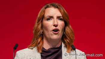 Andy Burnham's right-hand woman Louise Haigh says donations cap 'under consideration' in wake of Reform UK's £72m windfall