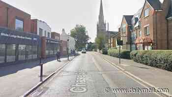 Passenger, 48, is killed and several others injured after car careers into pedestrian: Woman, 32, is arrested