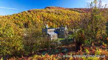 Leafy Welsh trail with ancient ruins and a pub is perfect for an autumn walk