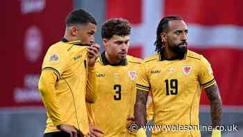 Flat player ratings as Wales well beaten by classy Denmark