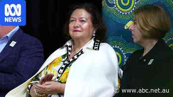 Rinehart allegedly tried to help recruit Liberal MP to join One Nation
