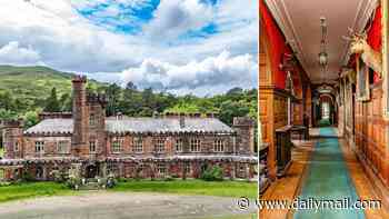 Island party palace is sold... and could now be transformed into a luxury hotel